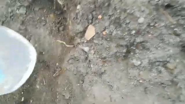 Металлокоп в Казахстане Затон СКО Летний #коп #металлокоп