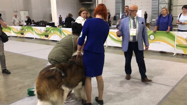 ДЯДЬКА ЧЕРНОМОР