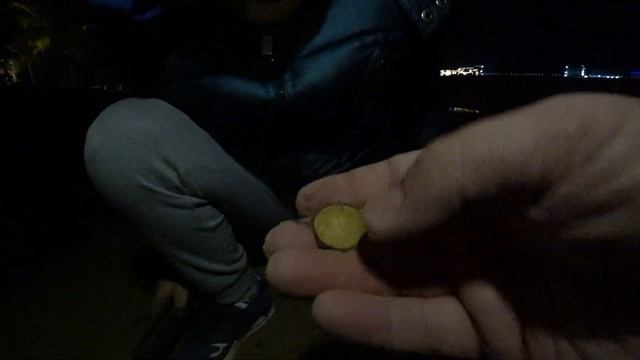 Находки ночью ПОРАЖАЮТ! Что арабы потеряли мы ночью искали! Эквинокс 600 - лучший металлоискатель!