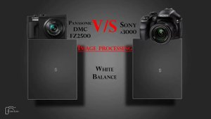Panasonic Lumix DMC FZ2500 vs Sony α3000
