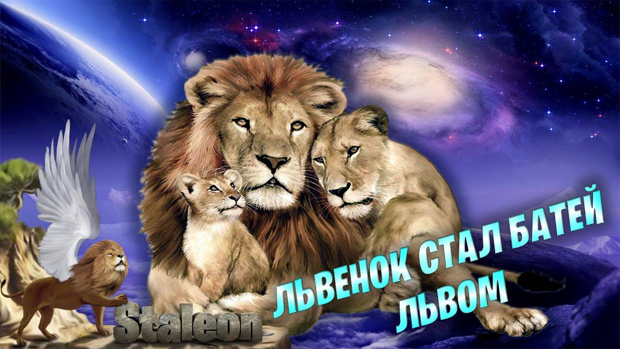 Лев я вернусь. Ласка одной львицы дороже гарем дешевых гиен. Лев я вернусь. Уйти чтобы вернуться книга. Лев я вернусь.