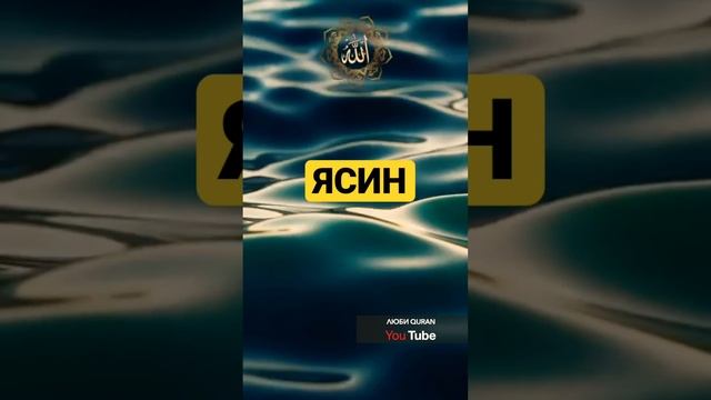 ЯСИН - СЛУШАЙТЕ КАЖДЫЙ ДЕНЬ. #quran #ясин #коран #корандлядуши смотреть онлайн