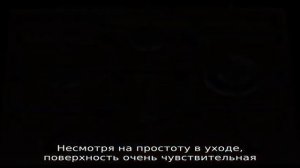 Варочная панель или газовая плита — что лучше