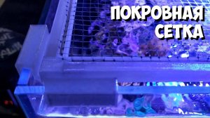 Выпрыгивают рыбки!? Есть решение | Аквариум