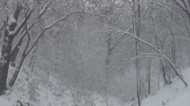 Владивосток. ОСЕННЯЯ ПЕСНЬ. Трио ГАРМОНИЯ.