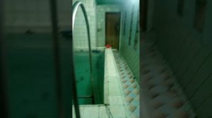 Отдых в сауне с женой. Пришли попариться и отдохнуть от серых будней и бытовухи.