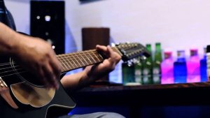 Fender Villager 12 Strings Guitar