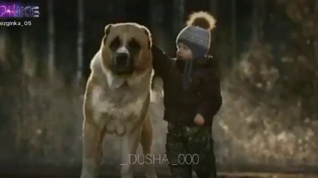 Алабай!