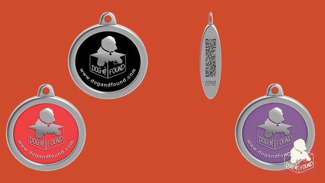 Dog  Found: identificación para perros