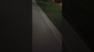 Сквер, Коньки, Вперёд к рекордам! Здоровый дух, в здоровом теле!