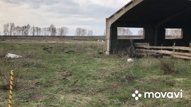 Установка электропастуха Статик 3М