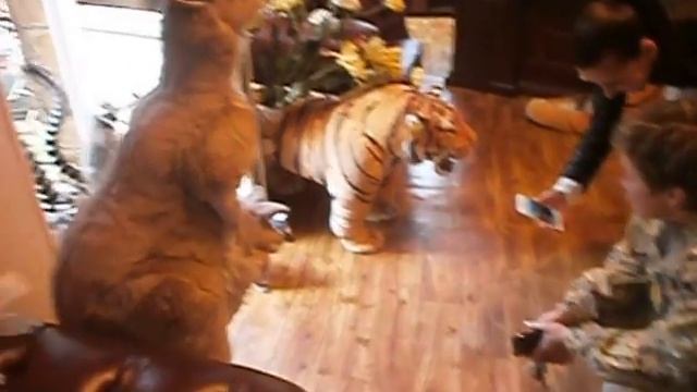 Лемуры в кабинете директора Ялтинского зоопарка "Сказка" смотреть онлайн