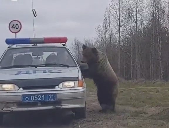 Документики предъявите!