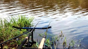 ГДЕ ИСКАТЬ ЛЕЩА ОСЕНЬЮ НА РЕКЕ! ЛОВЛЯ НА ФИДЕР 2021. Рыбалка в НОЯБРЕ!