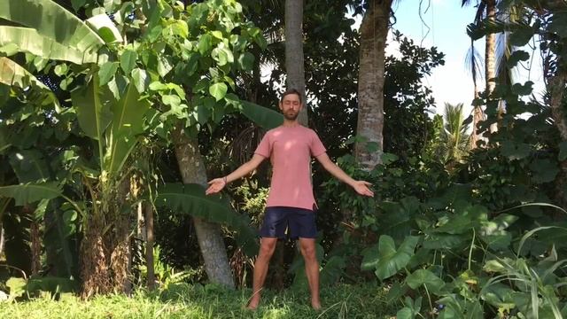 Практика цигун смотреть онлайн