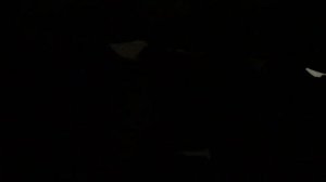 Посторонний шум форд Мондео 4 2.3