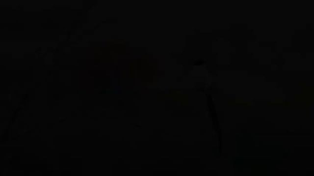 Расслабляющая музыка которая исцеляет стресс ? Пение птиц звуки природы  спать  расслабиться 