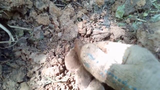 КОП С МД-4030 ПОЛУЧИЛ ПОДАРОК ПИНПОИНТЕР СХОДИЛ ПРОВЕРИЛ смотреть онлайн