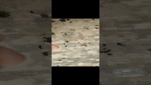 плетение из бисера