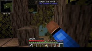 Bebra's Letsplay серия 2 Нага и Линч-беброид