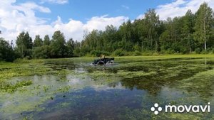 КАРАКАТ 43