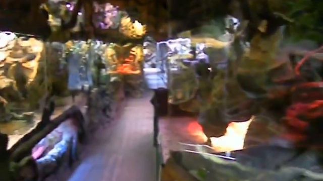 Панорама.Латгальский зоопарк. смотреть онлайн