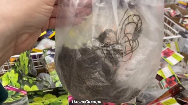 МЕГА САМАРА ❤️ Стоит ли покупать САЖЕНЦЫ в магазине АШАН? Другие НЕ покажут 🤩НОВИНКИ ✅ Весна, 2024