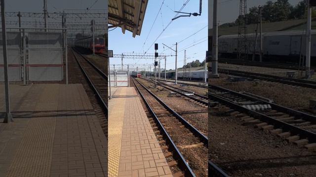 Эд4м 038 и эд4м 0119 на станции люберцы 1 смотреть онлайн