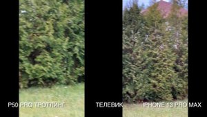 Huawei P50 Pro vs IPHONE 13 PRO MAX / Видео и фото /