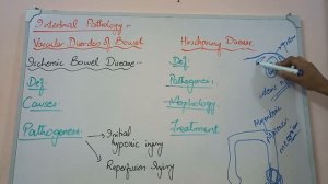 GIT PATHOLOGY lecture 21 HIRCSHPRUNG disease and Vascular disorders of bowel made easy