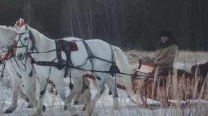 «Земляки»: русский_Руслан Тюменцев