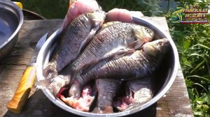 Хрустящие карасики в сметана без костей, Рецепты из рыбы в казане на костре от #FishermanDV27Rus