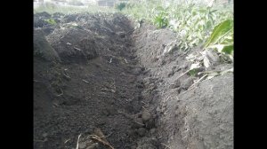 История одного "калыма")! Смотреть до конца))!