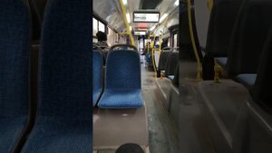 1 автобус пермь