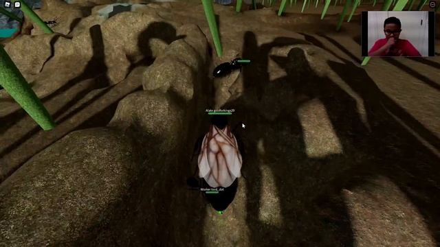 Roblox Ant life ? I got Alate смотреть онлайн