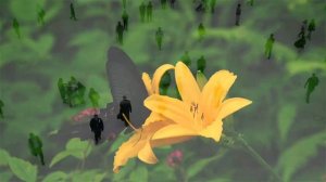 ЗАЯСН ЦАГ (Предначертанное время)