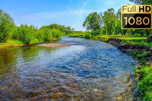 Утро на Речке и Нежное Пение весенних Птиц