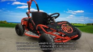 Все о детских багги