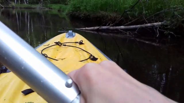 Эпизод 32. Красоты природы у реки Камышовки (между оз. Красавица и рекой Гороховкой) смотреть онлайн