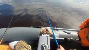 Рыбалка на Белом море. Лучший способ ловли! Ловля корюшки, камбалы, наваги!