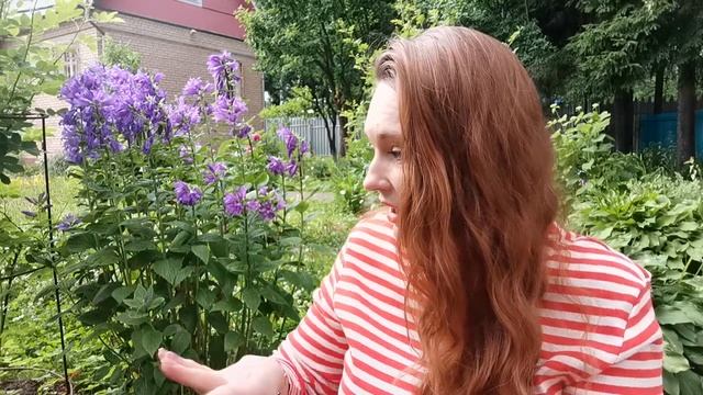 Самые модные новинки парфюмерии. Стоит ли их покупать?