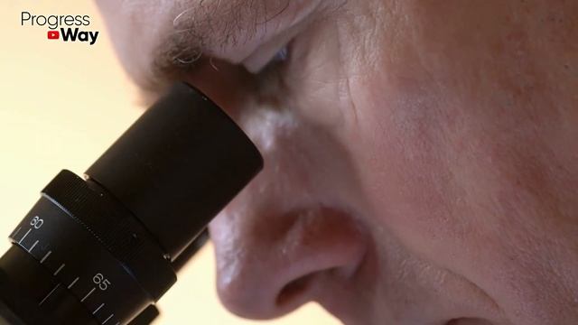 Всего 1 Овощ Очистит Печень, Кишечник И Улучшит Зрение... смотреть онлайн