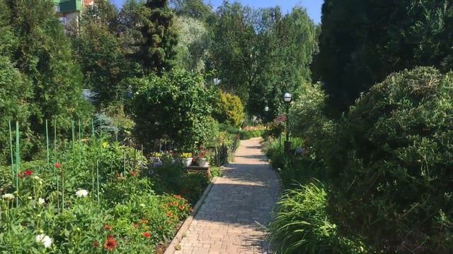 Ботанический сад. Июль. Часть1 - город Киров. смотреть онлайн