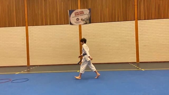 Taikyoku Shodan Shotokan Karate Kata смотреть онлайн