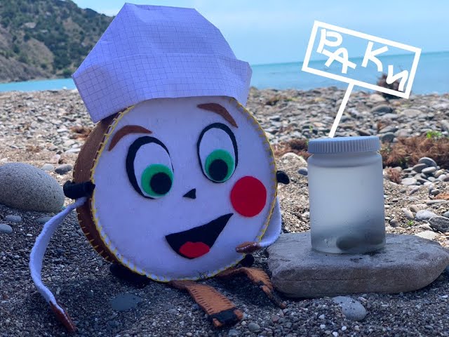 Что за раки-отшельники и шапка для Драма из бумаги. смотреть онлайн