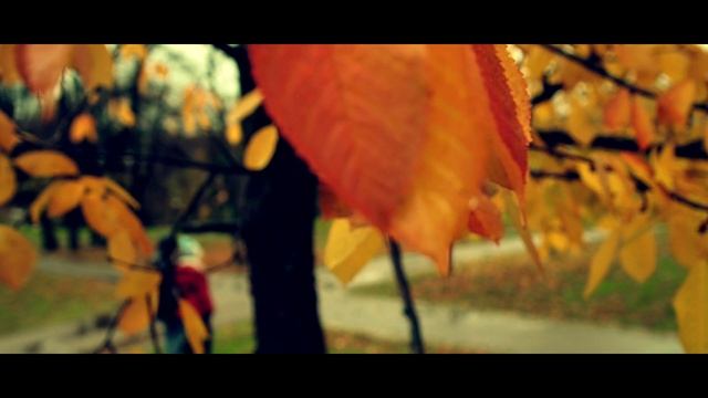 Oslo Trip (Noruega) | CINEMATIC | Olympus OM-D-E- M5 II | 12mm 2.0 | 10- | смотреть онлайн