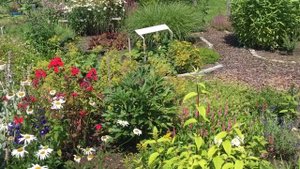 Сады и огороды в Германии. Июль 2021./Gardens in Germany.