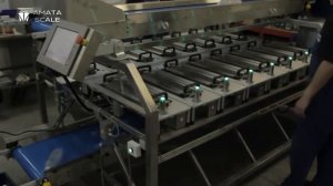 Дозатор весовой комбинационный модели AMATA BERTHA 116