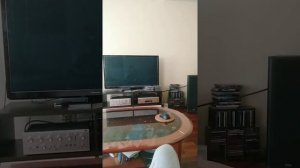 Копия акустики Coral BL-25, на Coral Beta -10 , 70г усилитель Sony TA-1120F, источник Denon DVD A-1