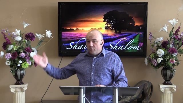 Как пережить панику без паники смотреть онлайн